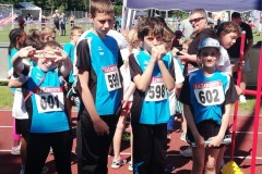 polysport6